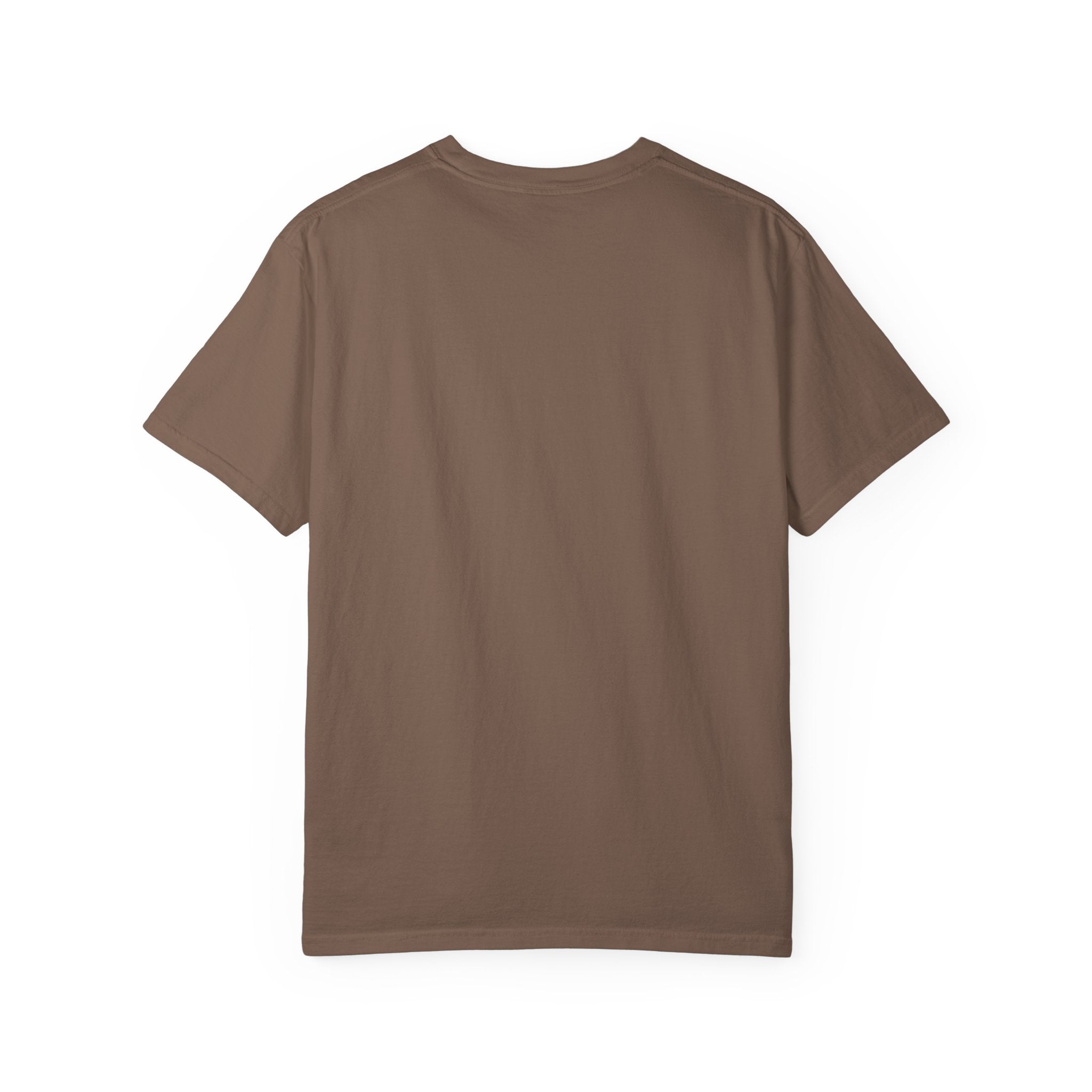 Cat Asleep in Case T-Shirt